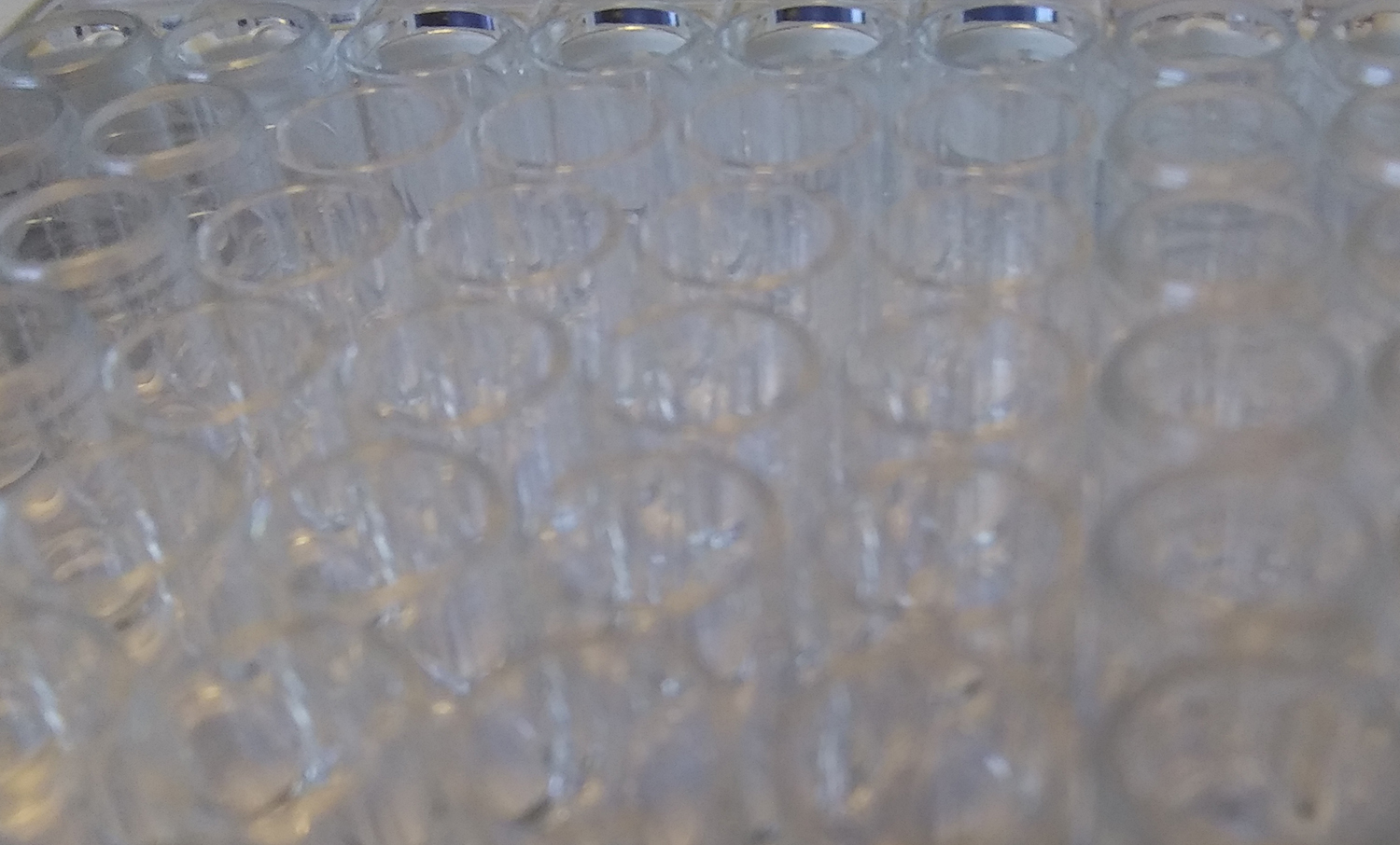 Gluten Testing What are ELISA tests and how do they detect gluten?