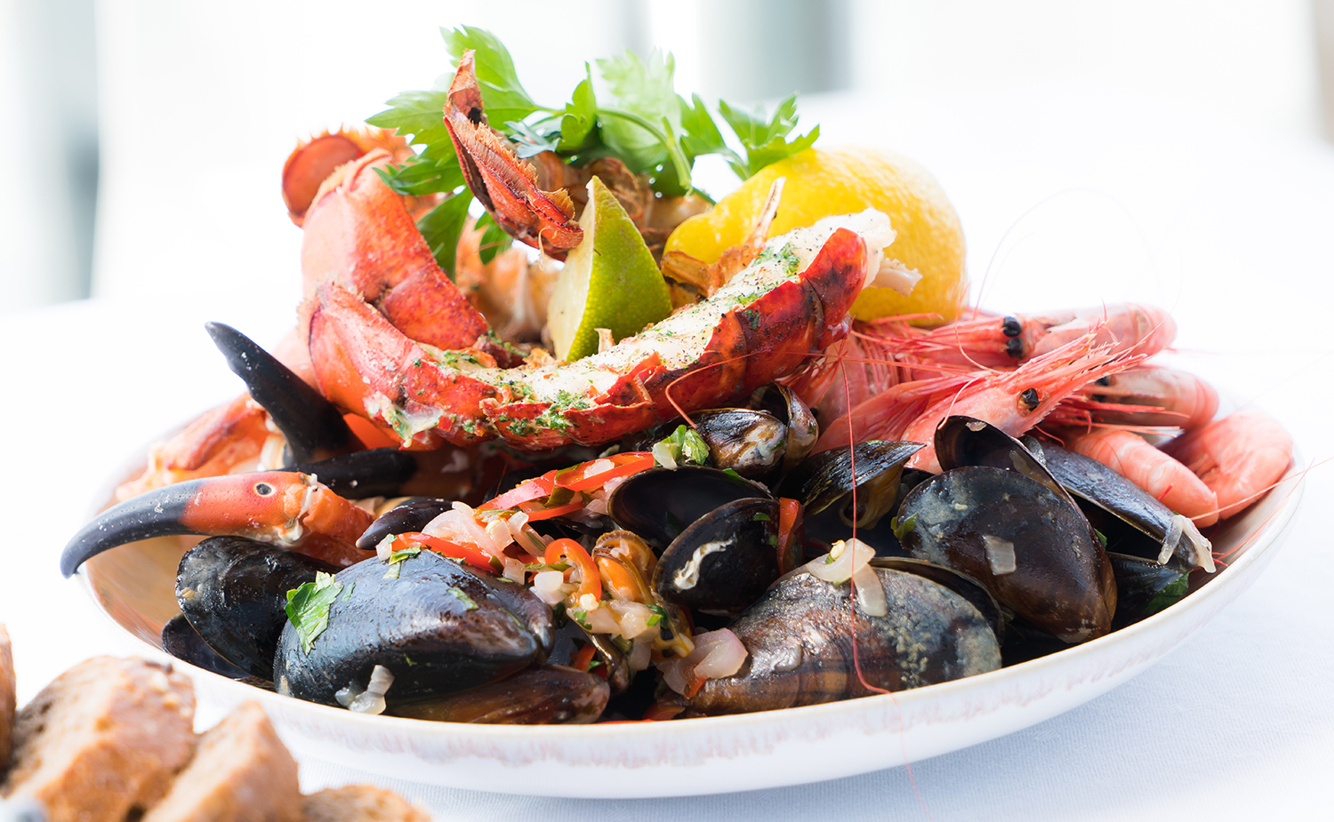 Alertox Sticks Crustacean Targets Tropomyosin