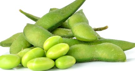 Soy beans in pods