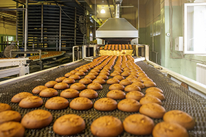 Cookies on a conveyor belt