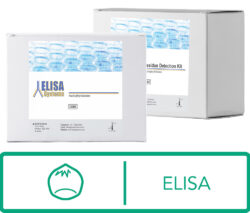 ELISA Systems ELISA Hazelnut