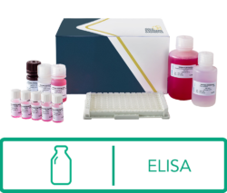 Gold Standard Diagnostics SENSISpec® ELISA Milk