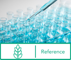 2D4 Anti-gliadin Antibody