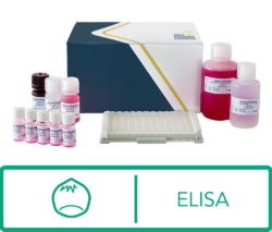 Gold Standard Diagnostics SENSISpec® ELISA Hazelnut